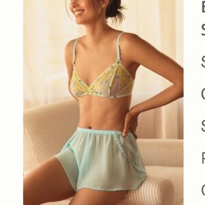 NWT by Anthropologie Sheer light blue bloomers